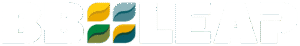 Logo Bbleap Rgb Fc 3