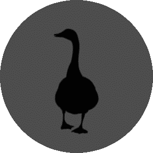 Logo Black Goose