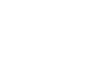 Logo Ff (1)